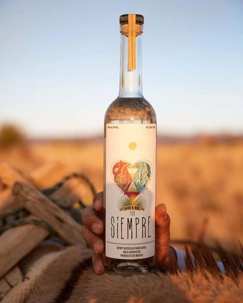索托酒 墨西哥北部的沙漠烈酒之王
